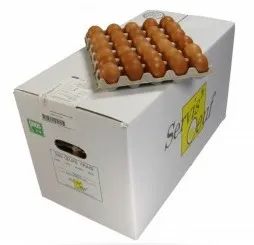 Oeufs 360 Pcs