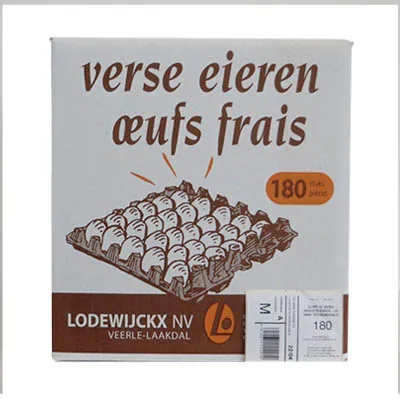 [YUMURTA180] Oeufs L 180 Pcs